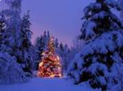 Waldweihnachten 2017 Waldweihnachten 2017